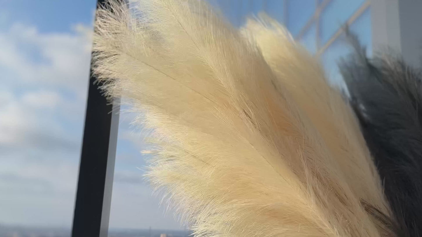 
                  
                    Laden und Abspielen von Videos im Galerie-Viewer, Extra flauschige und hohe künstliche Pampas ORNA in Elfenbein, 3er-Set, Geschenkbox
                  
                